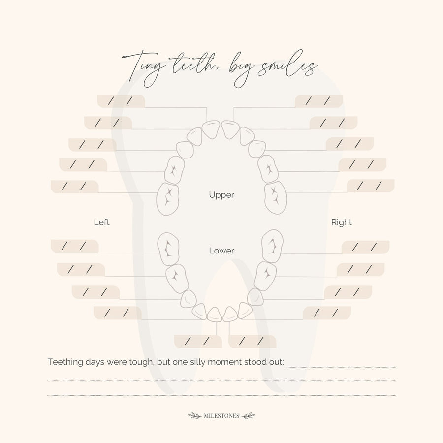 Page 99 of the CheriBOO Baby Memory Book: tiny teeth, big smiles, the teeth chart